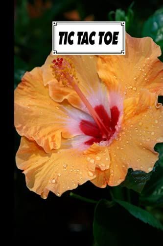 Tic Tac Toe: Games Fun Activities For Kids With Hibiscus Cover Design | 100 Pages, Size 6" X 9" By Lilly Hohmann