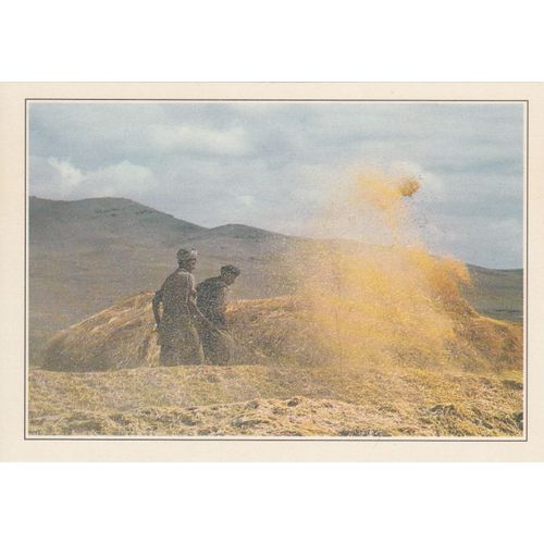 Afghanistan, " Battage Du Grain Sur La Route De Ghazni ".