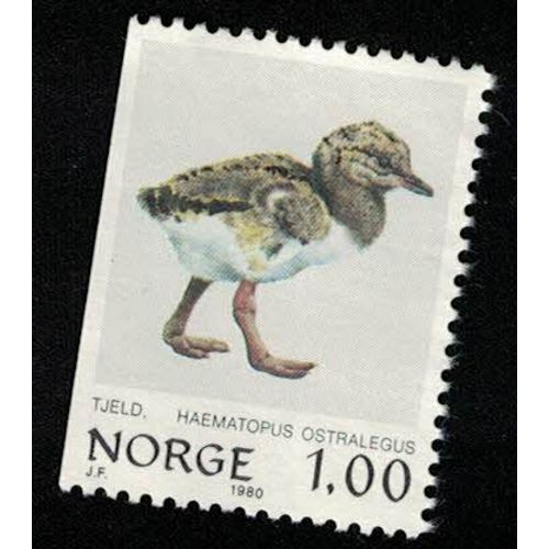 Norvège 1980 Sans Gomme Used Haematopus Ostralegus Oisillon Huîtrier Pie