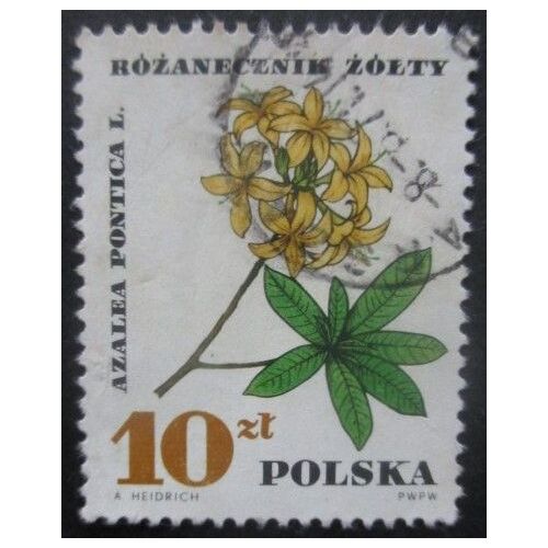 Pologne N°1630 Azalée Oblitéré