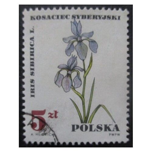 Pologne N°1629 Fleurs Oblitéré
