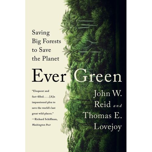 Ever Green