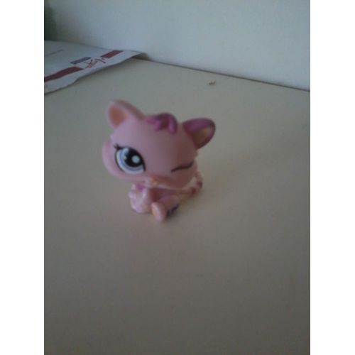 Petshop Chaton # 1481