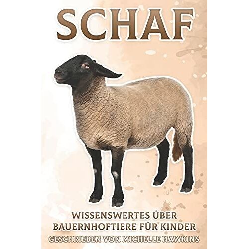 Schaf: Wissenswertes Über Bauernhoftiere Für Kinder #4