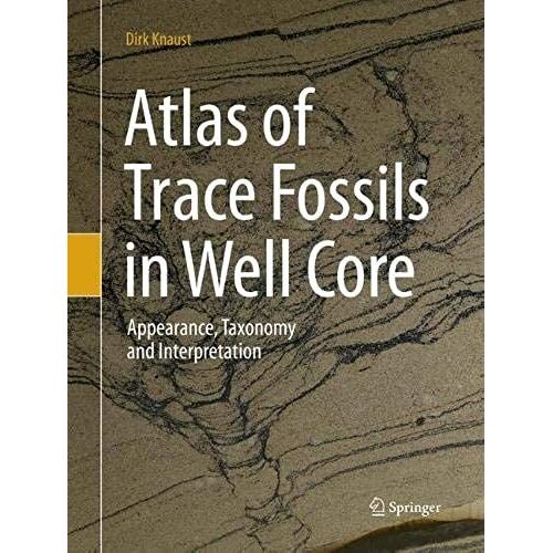 Atlas Of Trace Fossils In Well Core