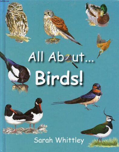 All About Birds