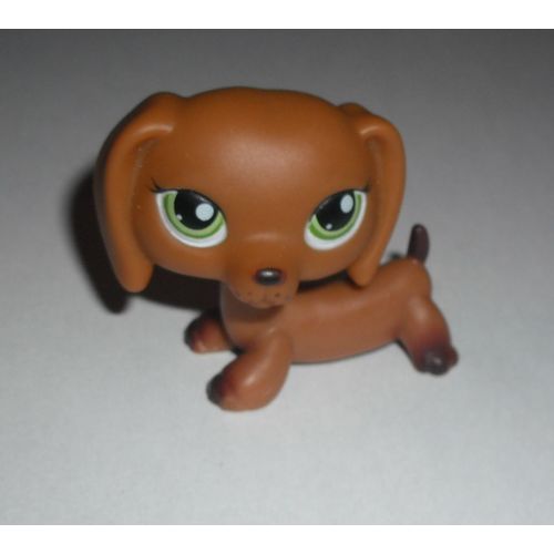 Petshop Teckel N°139