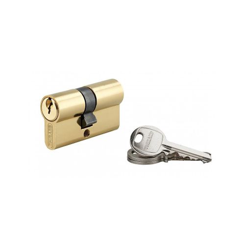 Cylindre de Serrure 25 x 30 mm 3 cl?s 16248 Thirard
