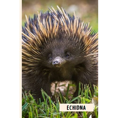 Echidna: Perfect Echidna Journal For Memories And Notes , Echidna Notebook ( 110 Pages, 6x9 )