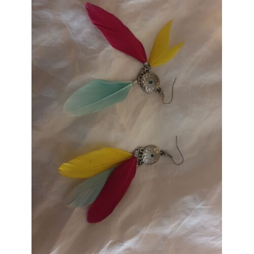 Une Paire De Boucles D'oreilles En Plume