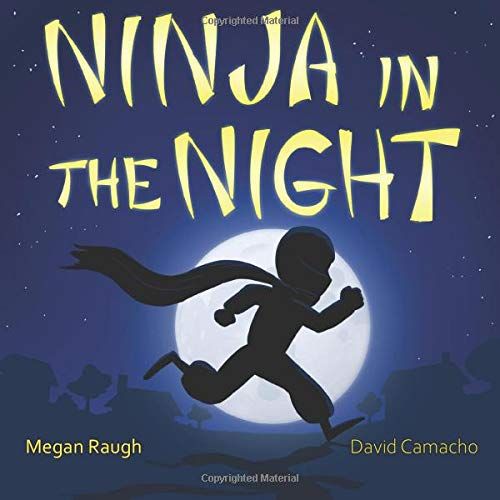 Ninja In The Night