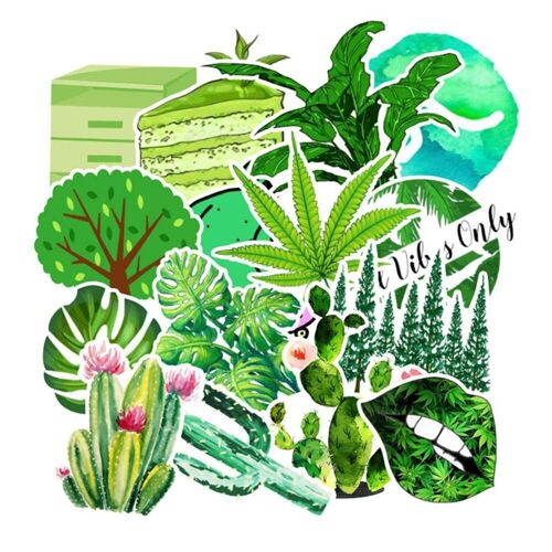 Pack D'autocollants - Vert