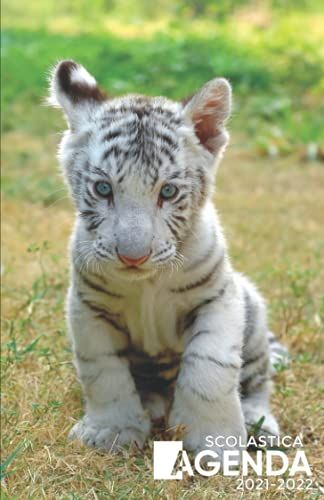 Agenda Scolastica 2021 2022: Organizzatore Scolastica (Agosto 2021 / Luglio 2022) Per Gli Studenti Delle Scuole Superiori - Pianificatore Giornaliero ... Settimanale| Copertina Bambino Tigre