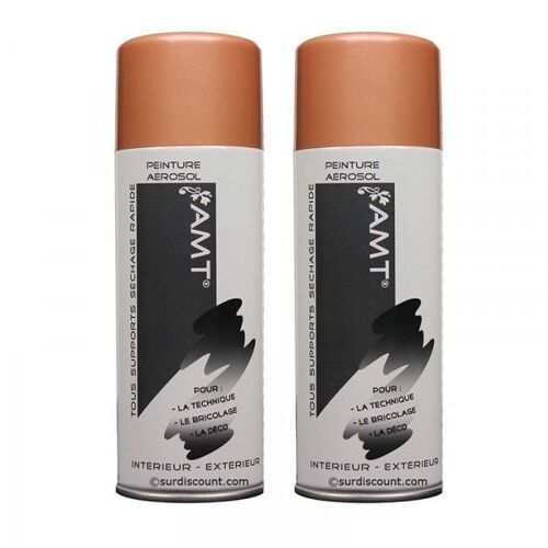 Lot De 2 Bombes De Peinture - Rose Gold - Amt