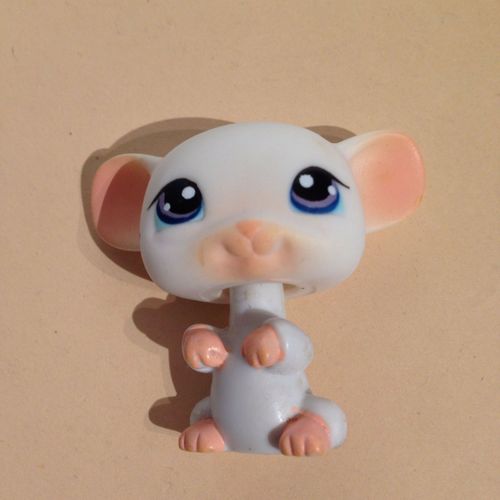 Petshop Souris 30 Ter