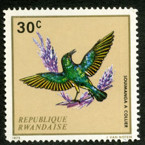 Timbre Non Oblitéré République Rwandaise, 30c, Souimanga À Collier, 1972