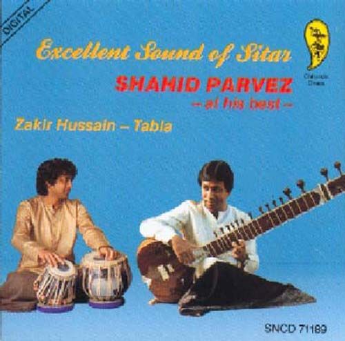 Excellent Sound Of Sitar