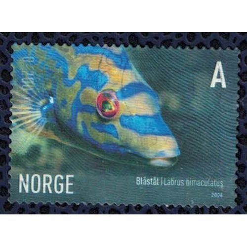 Norvège 2006 Oblitéré Rond Used Poisson Fish Labre Mêlé Coquette Labrus Bimaculatus