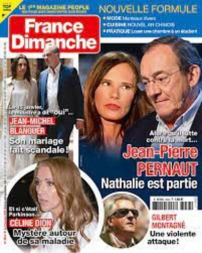 France Dimanche N°3934 : Jean-Pierre Pernaut - Celine Dion - Gilbert Montagne - Jean-Michel Blanquer