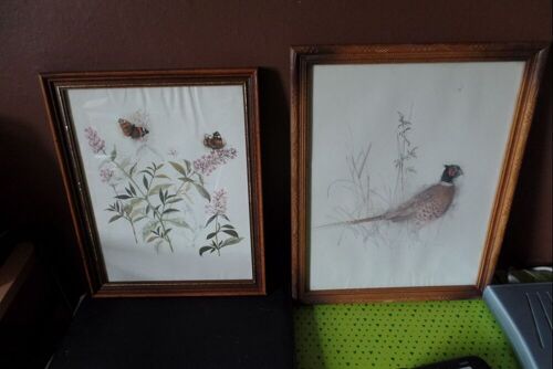 2 Dessins De Mads Stage Encadres-Faisan Et Papillon