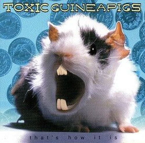 Toxic Guineapigs - That's How It Is