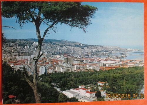 Carte Postale: Alger