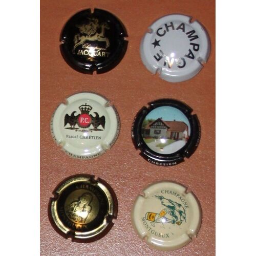 Lot 6 Plaques De Muselet