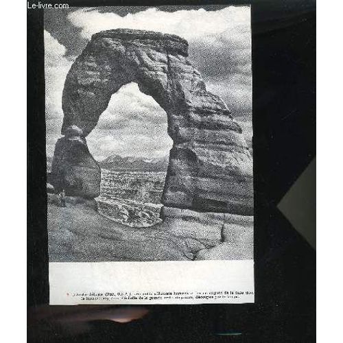 Un Extrait De Document : Interview Insolite Et Mouillee Entre Stalactites Et Stalagmites + Un Extrait De Document (Illustration En Noir Et Blanc) L'arche Delicate .