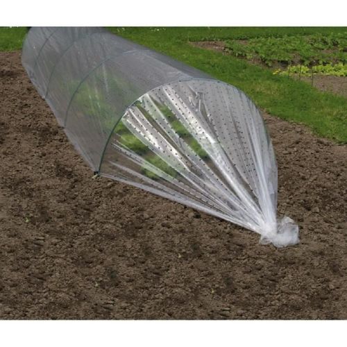 Film Primeur Perforé-Ldpe Transparent-50 ?-2x10m