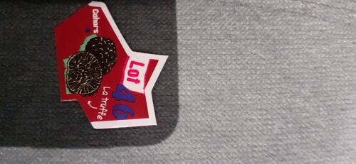 Magnet Cahors Lot 46