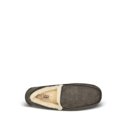 Ugg Mocassins Ascot Charcoal - Gris