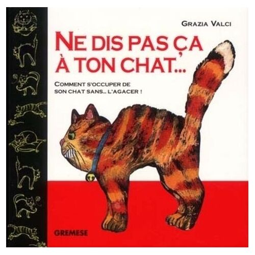Ne Dis Pas Ça À Ton Chat - Comment S'occuper De Son Chat Sans - L'agacer !