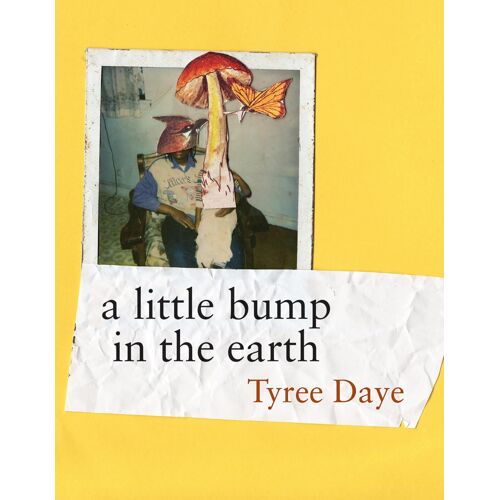A Little Bump In The Earth