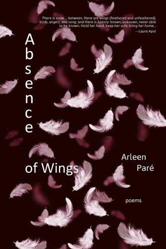 Absence Of Wings