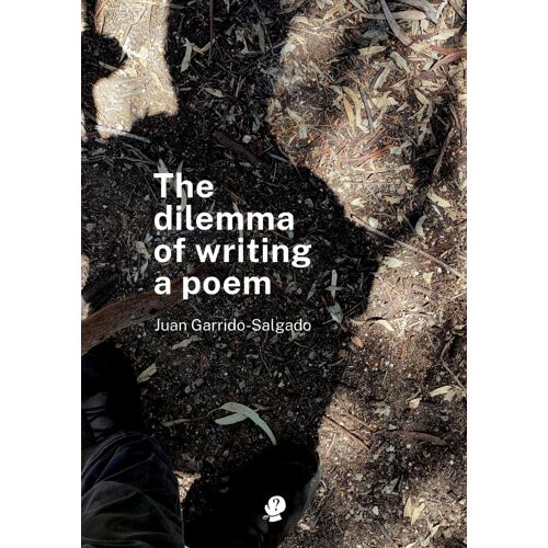 The Dilemma Of Writing A Poem