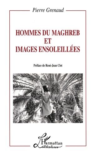 Hommes Du Maghreb & Images Ensoleillées