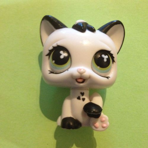 Petshop Chat Chaton Sans # Numéro 01