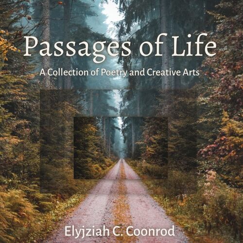 Passages Of Life