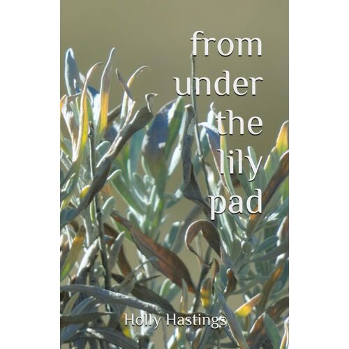From Under The Lily Pad