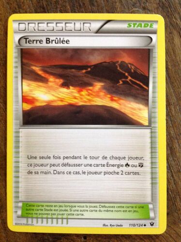 Dresseur Terre Brûlée 110/124 Xy Impact Des Destins