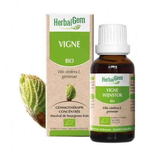 Herbalgem Macérat Concentré Vigne Bio 30ml 