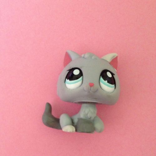 Petshop 1301 Chat Chaton Gris