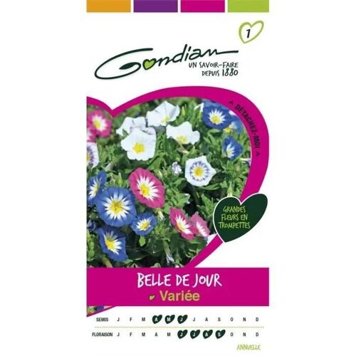 Gondian Belle De Jour Variée
