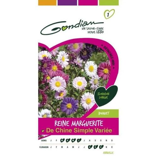 Gondian - Reine Margueritte Simple Variée