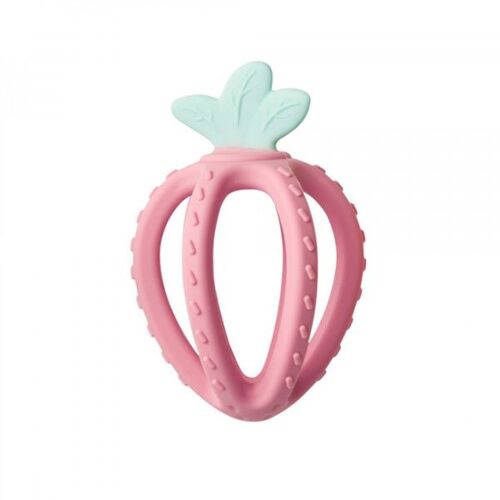Anneau De Dentition Fresh Fruit Blossom