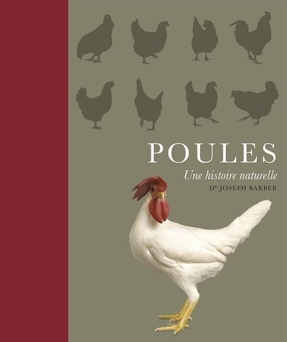 Poules - Une Histoire Naturelle