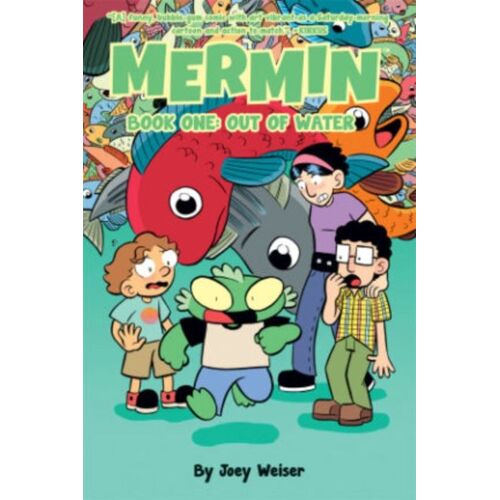 Mermin Book One