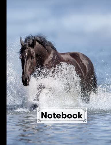 Notebook: Black Horse Cover Composition Notebook College Ruled, Black Horse Notebooks, School Supplies, Notebooks For School | 120 Pages - Large 8.5" X 11" By Antonie Fiedler