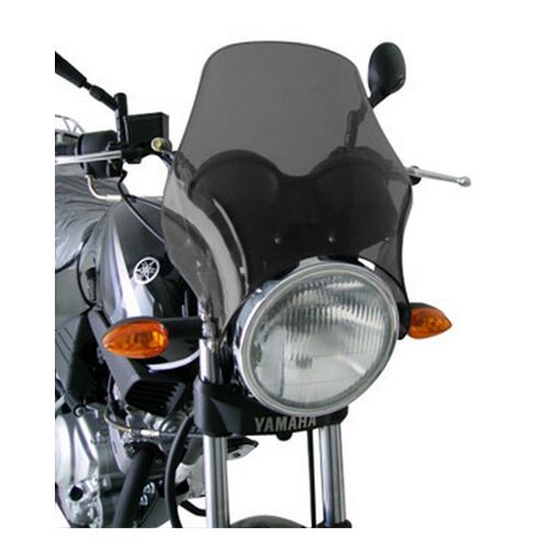 Bulle Puig Naked Ybr 125 08-09 Fume