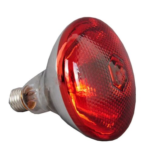 250w Infrarouge Lampe De Chaleur Imperméable Anti-Explosion Ampoules Épaissies Pour Porcelet Poulet Canard